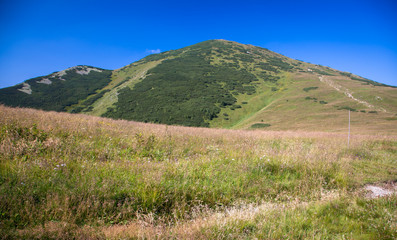 Hill - Velky Krivan - in range Mala Fatra, Slovakia