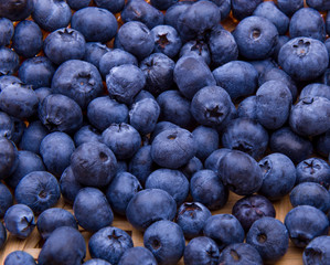 fresh blueberries background pattern