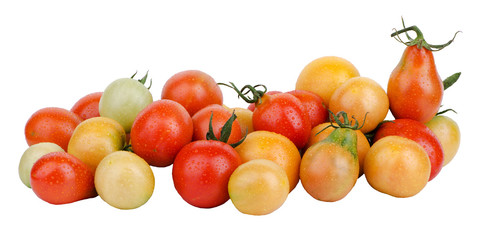 colorful tomatoes on white background
