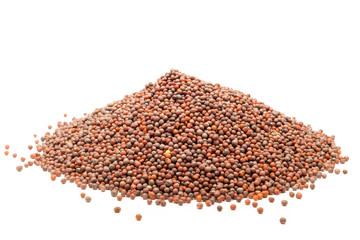Pile of Organic brown mustard  (Brassica juncea) isolated on white background