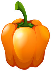 Orange bell pepper with stem