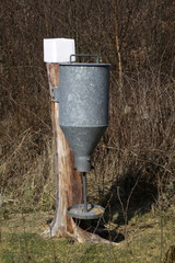 Fototapete bei efototapeten.de bestellen   