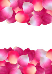 Obraz na płótnie Canvas Pink rose petals