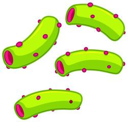 Naklejka premium Green tube bacteria on white