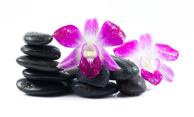 stones and orchid on the white background