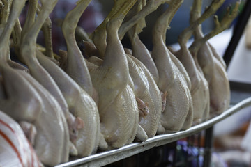Chicken / Khlong Toey Market  / Bangkok
