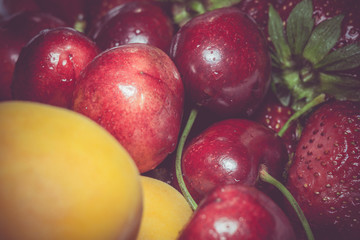 Retro Apricot Cherry and Strawberry