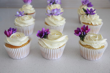 Homemade purple freesia flowers on vanilla cupcakes with whipped