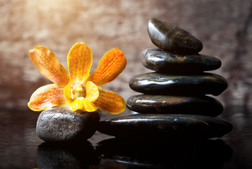 spa concept zen stones and orchid,wood background