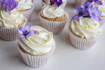 Homemade purple freesia flowers on vanilla cupcakes with whipped
