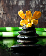 spa concept zen stones and orchid,wood background