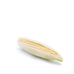 Raw corn in light green husk isolated against pure white