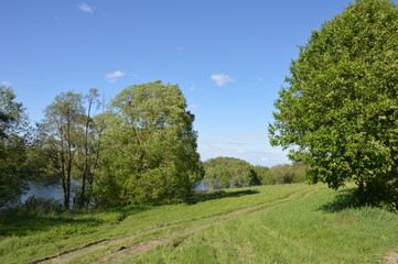 Брянская весна