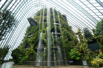 Cloud Forest at Gardens by the Bay in Singapore - obrazy, fototapety, plakaty