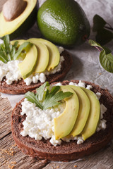 Dietary sandwiches with avocado, cottage cheese and arugula closeup. vertical
