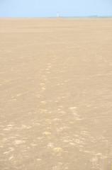 Westerhever Leuchtturm - Nordsee 