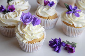 Homemade purple freesia flowers on vanilla cupcakes with whipped