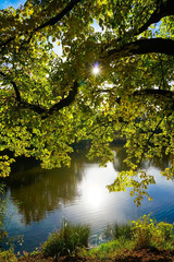 Leipzig Palmengarten