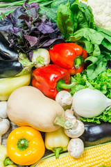 Harvest, fresh organic vegetables