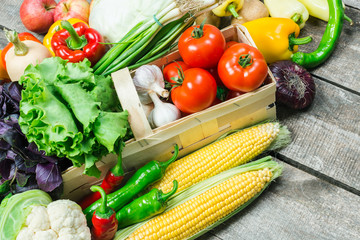 Harvest, fresh organic vegetables