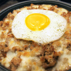 pork rice. asia chinese food