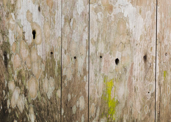grunge of wood rustic barn plank texture background