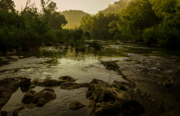 Early Morning River Lined with Trees 