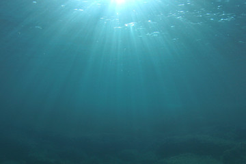 Obraz premium Natural underwater ocean background photo