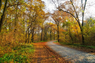 Naklejka premium Leipzig Rosentahl