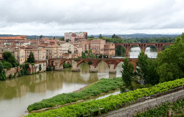 Fototapeta premium Albi la rouge
