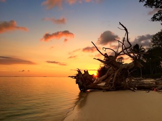 beach and sunset