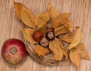 autumn leaves, chestnuts, apple in basket