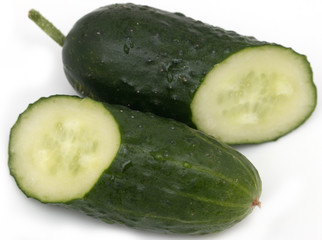 fresh cucumber on a white background in the context of