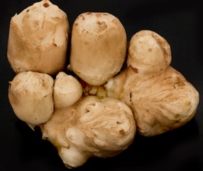 Jerusalem artichoke on a black background