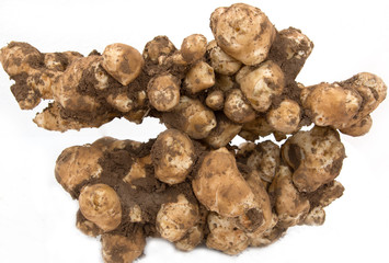 Jerusalem artichoke on a white background