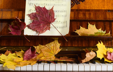 maple leaves on a piano