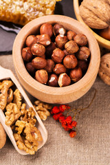 Autumn or harvest concept: assortment of nut, apples and honey. Selective focus