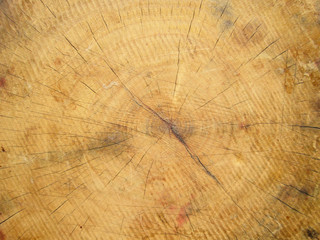grunge wooden cutting board background