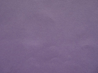 Violet cardboard