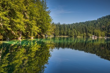 Lago Di Fusine - Mangart Lake in Summer