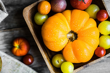 Colorful heirloom tomatoes on rustic wooden background