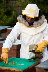 Beekeeper with smoker