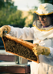Beekeeper