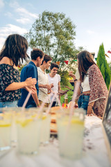 Group of friends having fun in a summer barbecue