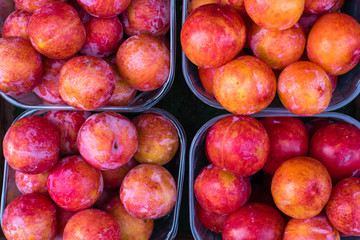 peach background