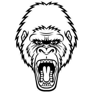 Gorilla