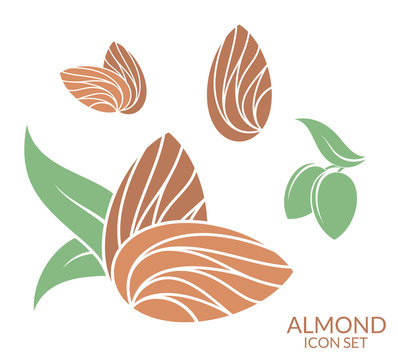 Almond. Icon set. Isolated fruit on white background