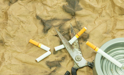 Scissors are cutting a cigarette