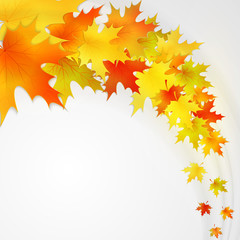 Naklejka na ściany i meble Autumn background with leaves. Vector nature background.