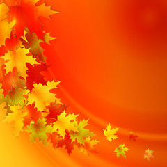 Autumn background with leaves. Vector nature background.